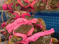 -辣螃铠盆盆蟹大排档(总店)