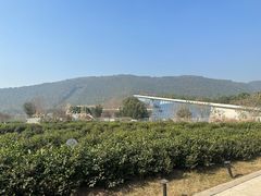 -九龙潭景区