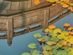 -卓刀泉寺