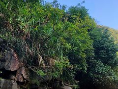 -雅鲁激流探险漂流