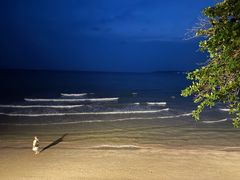 -卷心菜和避孕套餐厅(Pattaya)
