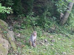 -焦作青龙峡风景名胜区