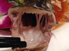 iphone_upload_pic-阿拉丁新疆风味餐厅·清真(罗廊巷店)