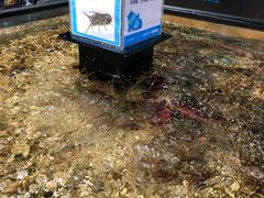 -盒马鲜生(曜一城店)