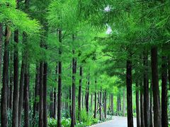 -云龙湖旅游景区