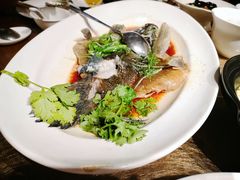 清蒸笋壳鱼-上海小南国(正大店)