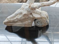 -中国第四纪冰川遗迹陈列馆