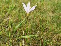 -中国天府农业博览园