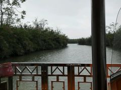 -大湾区中央湿地公园