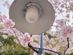 -静安雕塑公园