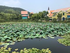 -茅山肴·道家菜·神仙鸡