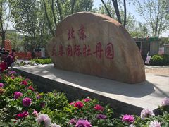 -太阳宫公园