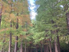 -云龙湖旅游景区