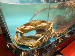 -潮粤香海鲜酒楼(沙湖店)