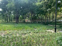 -上海山野camping·户外天幕烧烤·团建拓展营地