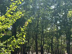 -北京麋鹿生态实验中心