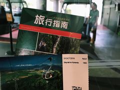 -热带雨林自然公园