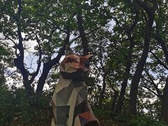 -云蒙山风景区