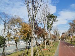 -上海山野camping·户外天幕烧烤·团建拓展营地
