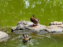 -莲花池公园