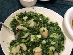 菱角毛菜-漕溪人家