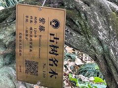 -无锡梅园公园