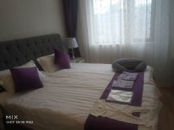 -海豚湾高端月子会所(黄浦店)