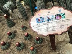 -南山植物园