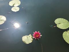 -龙寺生态园