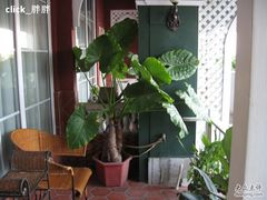 -娜娜度假小旅馆