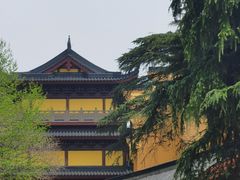 -北极阁公园