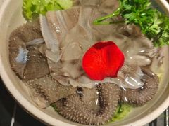 -蜀九香火锅(彩虹店)