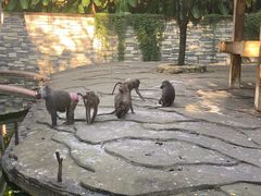 -贵州森林野生动物园