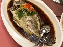 清蒸桂魚-上海老饭店(北京分店)