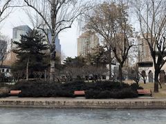 -团结湖公园
