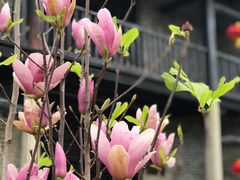 -罗定学宫