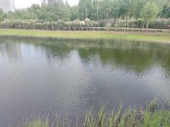 -群力丁香公园