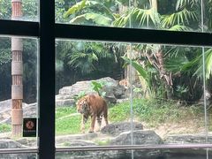 -深圳野生动物园