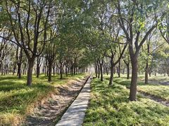 -嘉北郊野公园