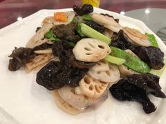 -姚林轩