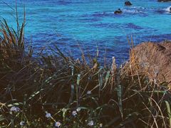 -Cafe Aewol Monsant