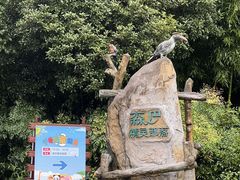 -杭州野生动物世界