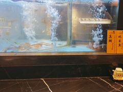 -九洲喜来登酒店湖月日餐厅