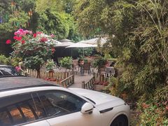 -老洋房花园饭店(绍兴路店)