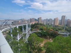 -仙岳公园