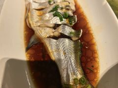 -金美华轩(东方路齐鲁店)
