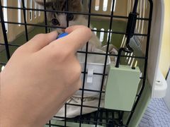 -圣宠动物医院·犬猫专科·影像中心·外科中心