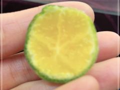 -南燕湾渔家码头