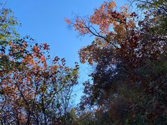 -北京西山国家森林公园