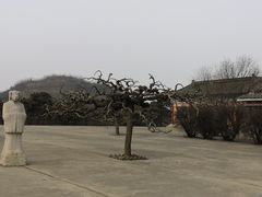 -洛阳古墓博物馆